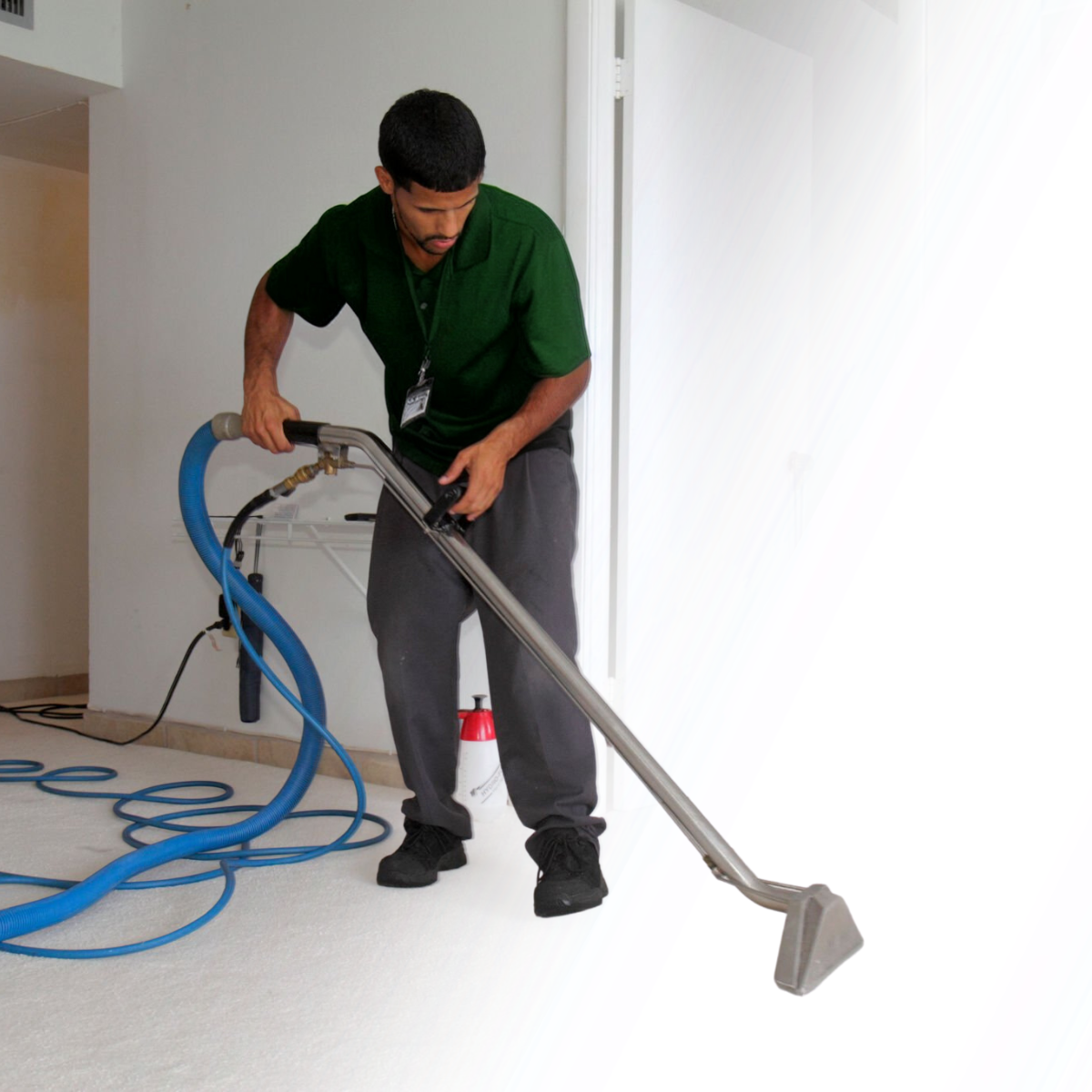 carpet cleaning manchester image 123